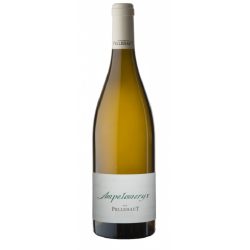 Domaine De Pellehaut Ampelomeryx Blanc | white wine