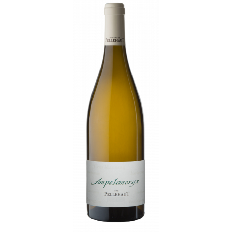 Domaine De Pellehaut Ampelomeryx Blanc | white wine