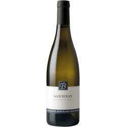 Domaine Bertrand Bachelet Santenay Blanc | white wine