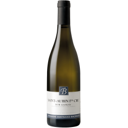 Domaine Bertrand Bachelet Sur Gamay Blanc | white wine