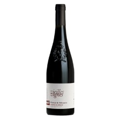 Chateau De Villeneuve Saumur-Champigny Vieilles Vignes - Vin Bio | Red Wine