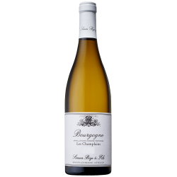 Domaine Simon Bize Et Fils Bourgogne Les Champlains | white wine
