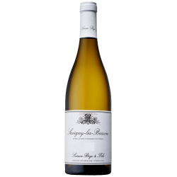 Domaine Simon Bize Et Fils Savigny-Les-Beaune | white wine