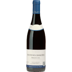 Domaine Pillot Beaune 1er Cru Boucherottes | Red Wine