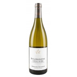 Domaine Michelot Bourgogne Cote D'or | french wine
