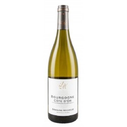 Domaine Michelot Bourgogne Cote D'or | white wine