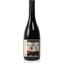 Domaine Albert De Conti La Vigne D'albert - Vin Bio Nature | Red Wine