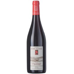 Domaine Patrick Baudouin Anjou Rouge Coteaux D'ardenay | Red Wine