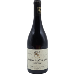 Domaine Fabien Coche Bourgogne Cote D'or Pinot Noir | Red Wine
