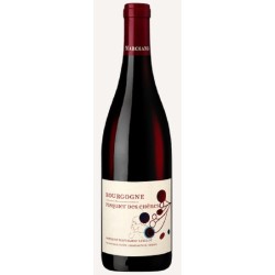 Domaine Marchand-Grillot Bourgogne Pasquier Des Chenes | Red Wine