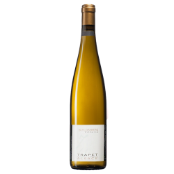 Domaine Trapet Riesling Schlossberg Grand Cru | white wine