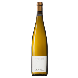 Domaine Trapet Riesling Schlossberg Grand Cru | french wine