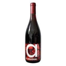 Domaine Trapet A Minima Bourgogne Passetout-Grains Rouge - Vin Bio | Red Wine