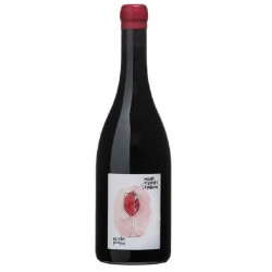 Domaine Des Grandes Esperances Touraine Amboise Rouge Les Ailes Pourpres | Red Wine