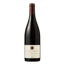 Domaine Lecomte Chateaumeillant Rouge | Red Wine