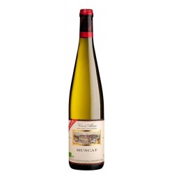 Domaine Jean Becker Muscat - Vin Bio | white wine