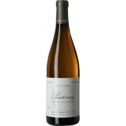 Domaine Marc Colin Et Fils Santenay | white wine