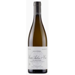 Domaine Marc Colin Et Fils Saint-Aubin 1er Cru En Montceau | white wine