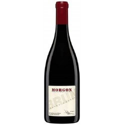 Domaine Jean-Paul Brun Morgon | Red Wine