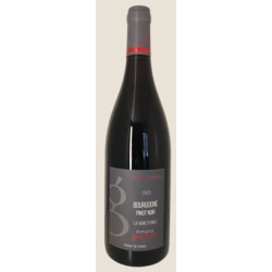 Domaine Gueguen Bourgogne La Vigne D'émile | Red Wine