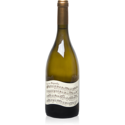 Domaine Albert De Conti Conti-Ne Périgourdine - Vin Bio | white wine