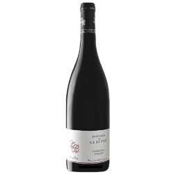 Domaine De La Butte Bourgueil Les Perrieres | Red Wine