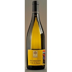 Domaine Pommier Bourgogne Blanc Cote D'auxerre Grain De Survie | white wine