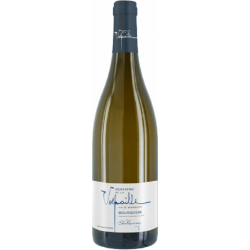 Domaine De La Verpaille Bourgogne Blanc - Vin Bio