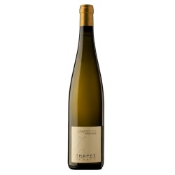 Domaine Trapet Pinot Gris Sonnenglanz Grand Cru | white wine
