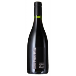 Domaine Jean-Paul Brun Cote De Brouilly | Red Wine