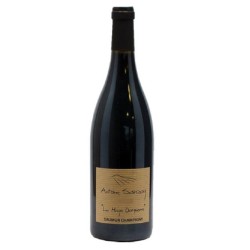 Domaine Antoine Sanzay Saumur-Champigny La Haye Dampierre - Vin Bio | Red Wine