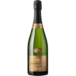 Champagne Delavenne Brut Millésimé 2015 Blanc Grand Cru | Champagne