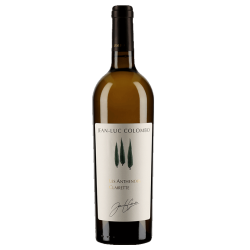 Domaine Jean-Luc Colombo Igp Méditerranée Blanc Les Anthénors | white wine