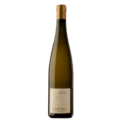 Domaine Trapet Riesling Sporen Grand Cru | white wine