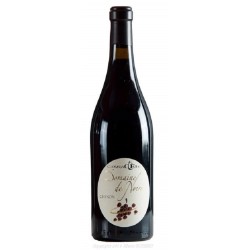 Domaine De Noire Chinon Caractere | Red Wine