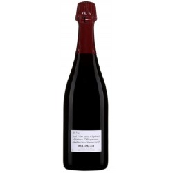 Champagne Bollinger La Côte Aux Enfants Côteaux Champenois Rouge | Red Wine