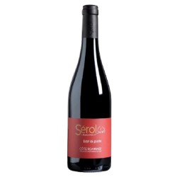 Domaine Serol Cote Roannaise Eclat De Granite | Red Wine