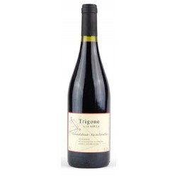 Domaine Le Soula - Trigone | Red Wine