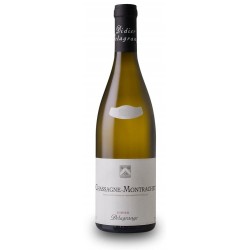 Domaine Didier Delagrange Chassagne-Montrachet | white wine