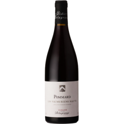 Domaine Henri Delagrange Pommard Les Vaumuriens | Red Wine