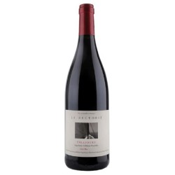 Domaine De La Rectorie - Collioure Rouge Côté Mer | Red Wine