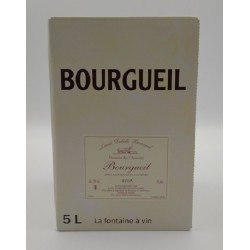 Domaine Lame Delisle Boucard Saint-Nicolas De Bourgeuil Rose Bib 5 Litres | rosé wine