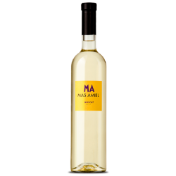 Domaine Mas Amiel Muscat De Rivesaltes | white wine