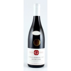Domaine Philippe Gavignet Nuits Saint-Georges Rouge 1er Cru Les Pruliers | Red Wine