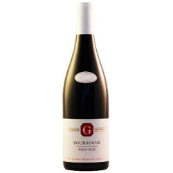 Domaine Philippe Gavignet Bourgogne Pinot Noir | Red Wine