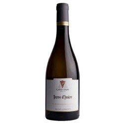 Cave De Tain - Saint-Joseph Blanc Terre D'ivoire | white wine