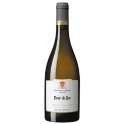 Cave De Tain - Saint-Peray Fleur De Roc | white wine