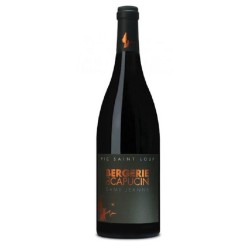 Berg Du Capucin Dame Jeanne 2019 Pic-St-Loup Rge 75cl Crd | Vin rouge