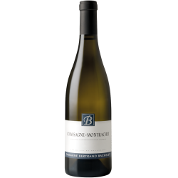 Domaine Bertrand Bachelet Chassagne-Montrachet Blanc | white wine