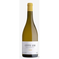 Laurent Miquel Pech Gentille Cote 238 | white wine